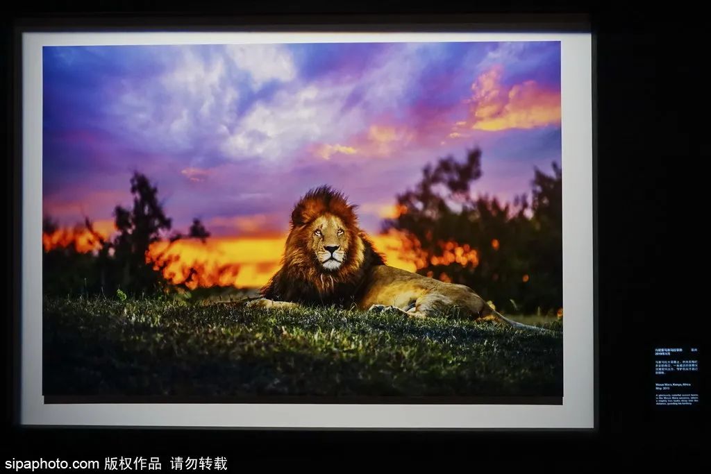 北京哪里风景美人少,北京哪里的园林秋景美