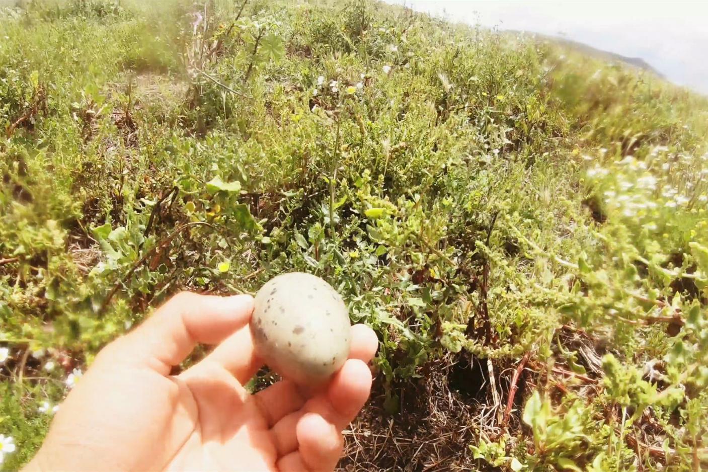 中国小伙荒岛求生大合集,中国小伙的航海日记合集