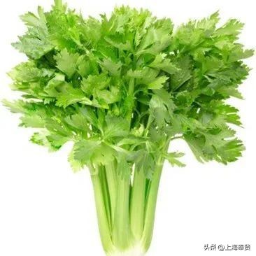 孕妈健康食谱,孕妈应该怎么饮食对宝宝好