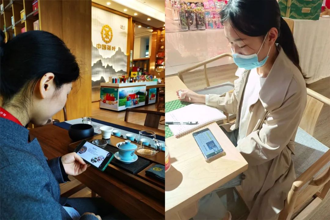 中茶黑茶品鉴,助力终端618全面打响