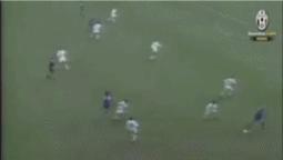 白头翁拉瓦内利中国行,白头翁拉瓦内利完整版