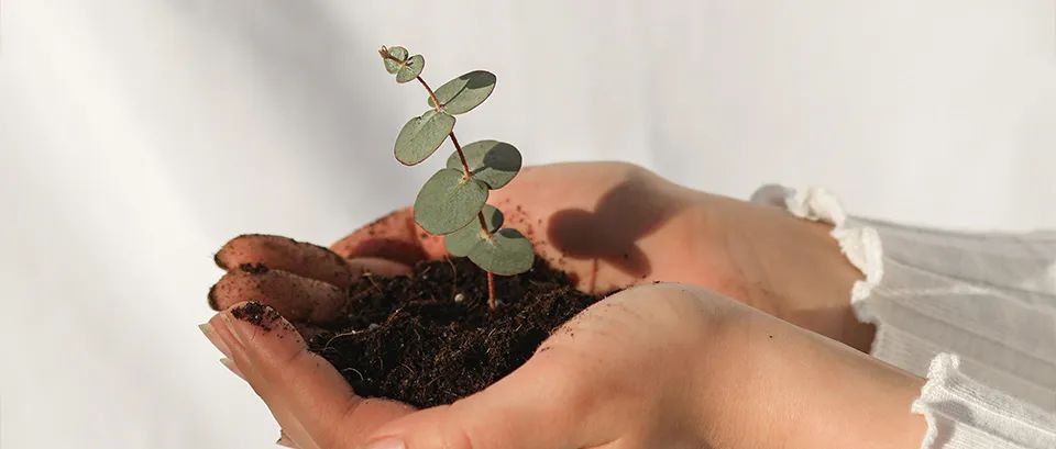 森尼陶瓷尼罗灰,森尼陶瓷青花白