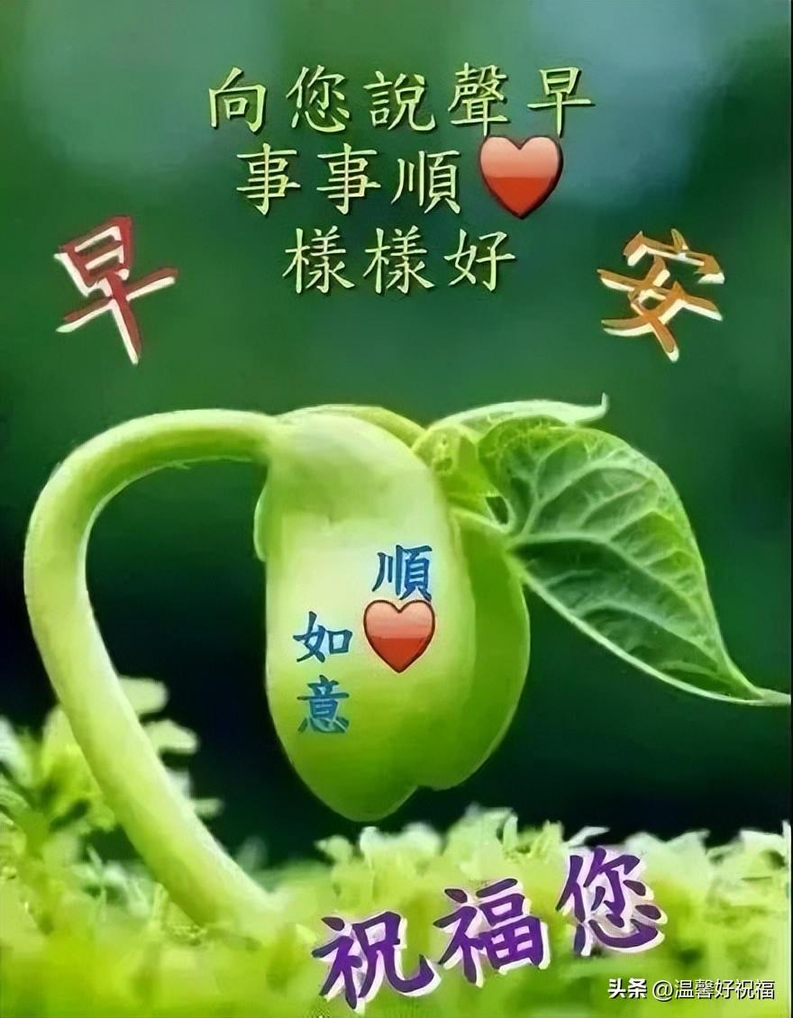 最真挚的祝福和问候早上好表情包,早上好图片带字逗人开心表情包