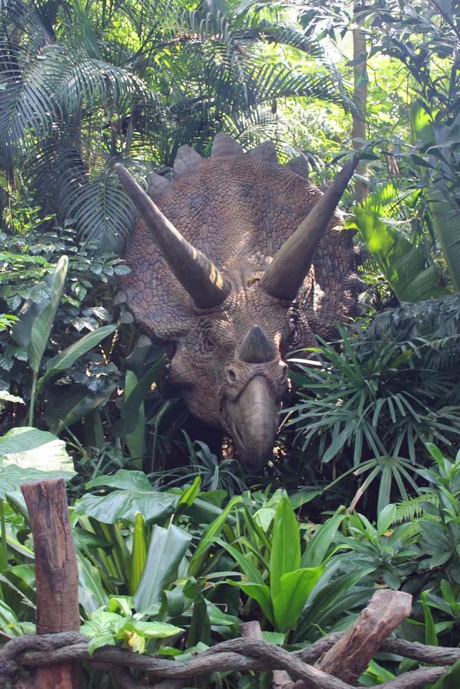 广州长隆野生动物世界有大象吗,广州长隆野生动物世界有多少动物