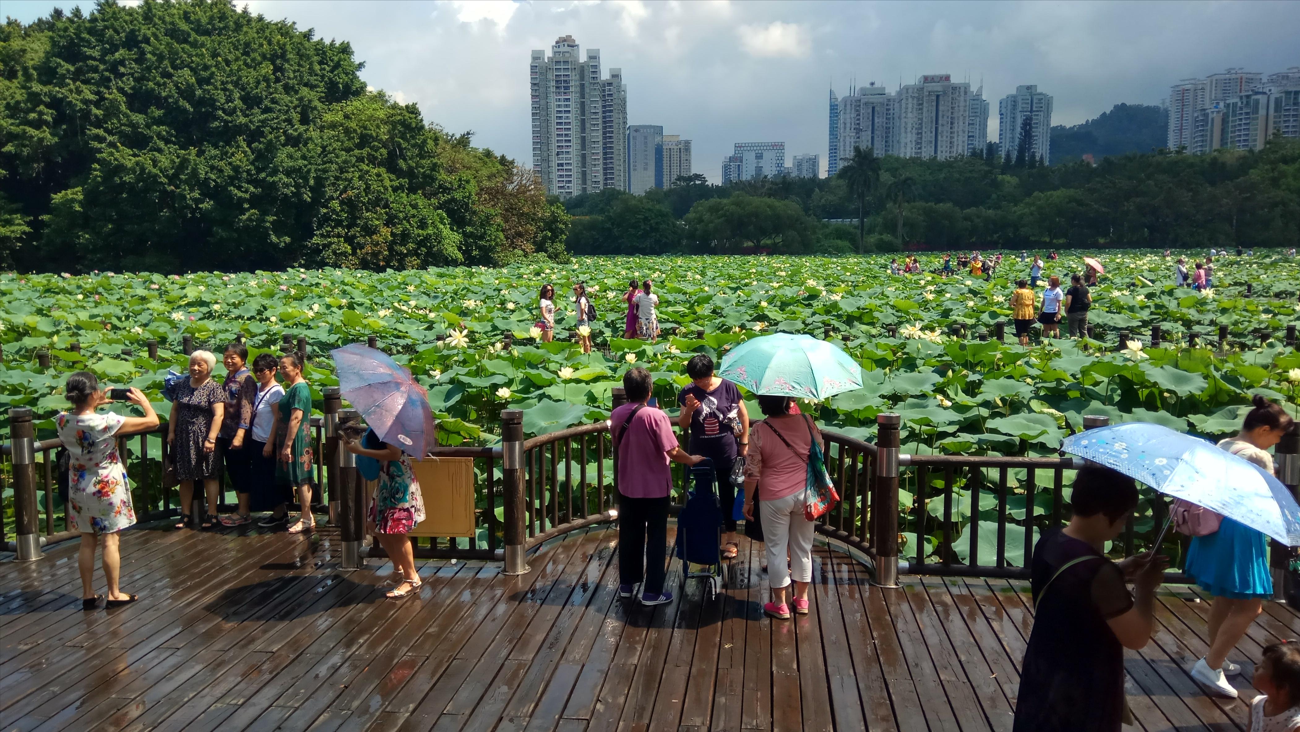 青春期社交恐惧症怎么克服,有社交恐惧症的人怎么克服