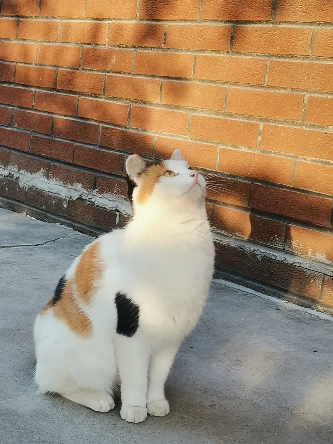 那就好好告个别吧，用你们最难忘的Moment