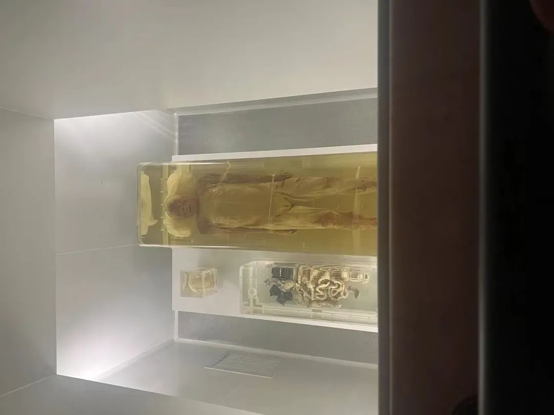 3000年前的青铜剑哪国的,3000年前的青铜是什么