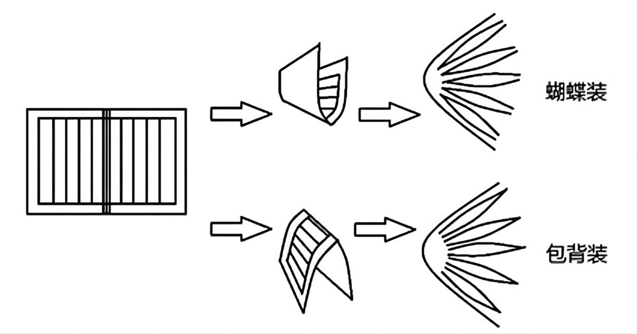 大珊老师:我们习以为常的“书”原来有这么多奥妙