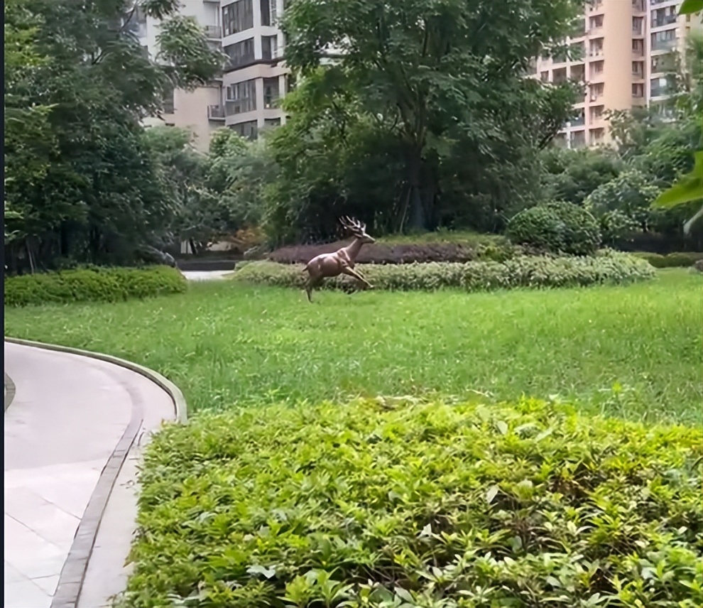 保利新武昌k6拿地价,保利新武昌k4哪栋最好