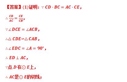 相似三角形专题精讲附例题,专题24相似三角形的判定与性质
