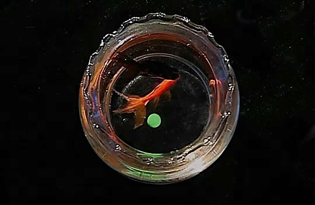 军人救老人赠小泥球价值2亿,38年前内蒙小伙救人获赠小泥球