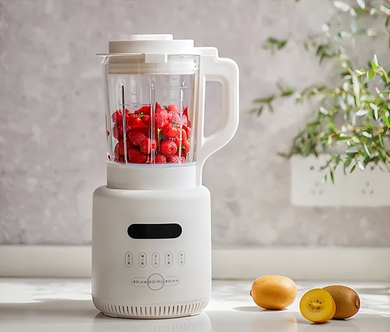 破壁机哪个牌子好用不磨粉,破壁机更好吸收么