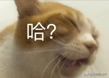 为什么买黄金科普小知识,买黄金科普知识