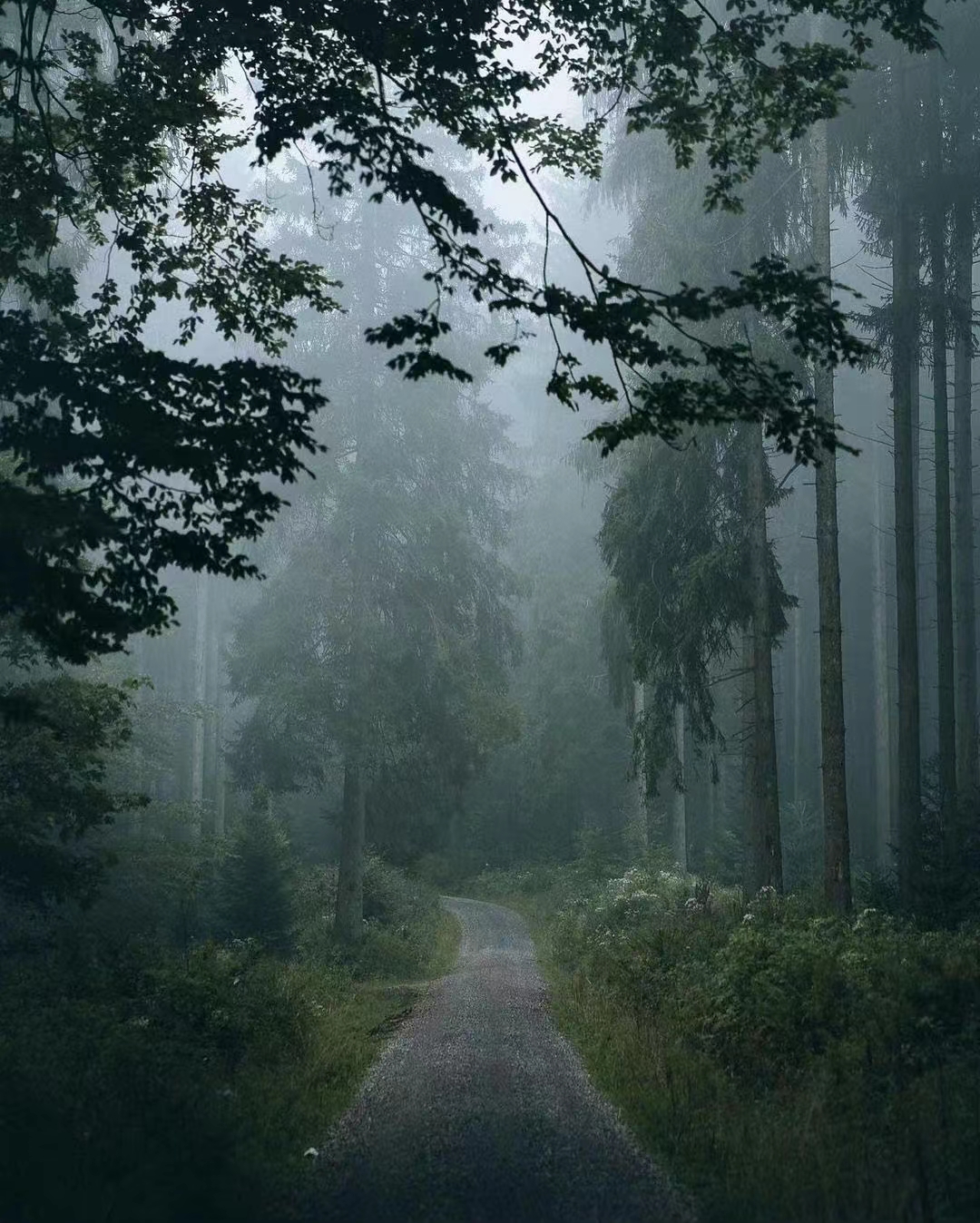 怎么能拍出低饱和度照片,低对比度低饱和度照片调整方法