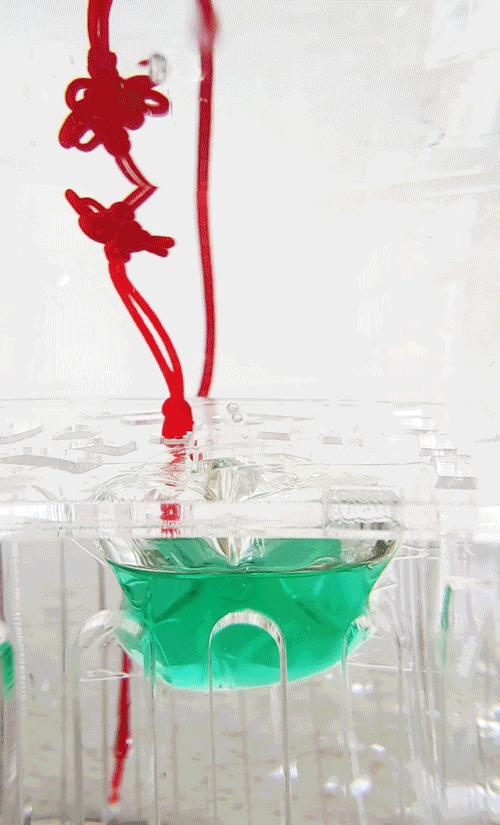 洗衣凝珠究竟敢用吗,洗衣凝珠有什么保障