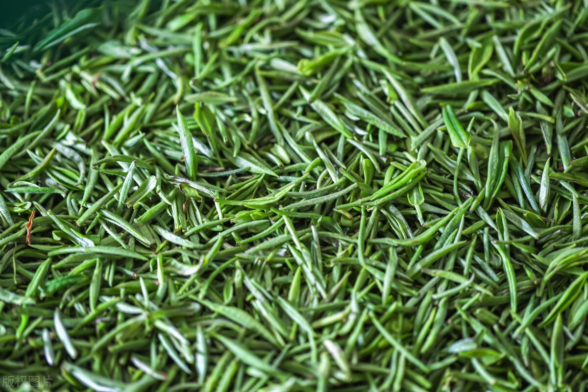 中国13大名茶爱茶人士必知茶知识,贵州茶叶中入选中国十大名茶的是