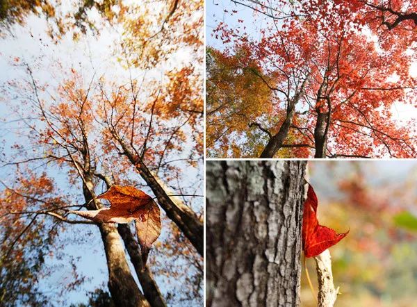 广东避暑的旅游景点冷门,广州周边游冷泉滩