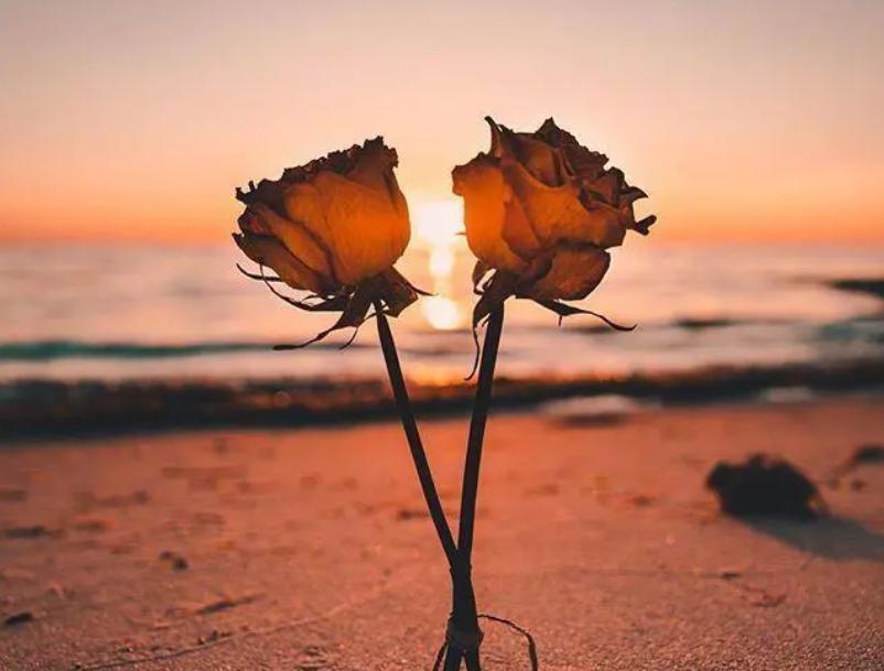 鑻ヨ浜虹敓澶劍铏戜笉濡ㄥ璇绘豹鏇剧ズ,濡傝浜虹敓澶嫙涓旇鍚庢劅