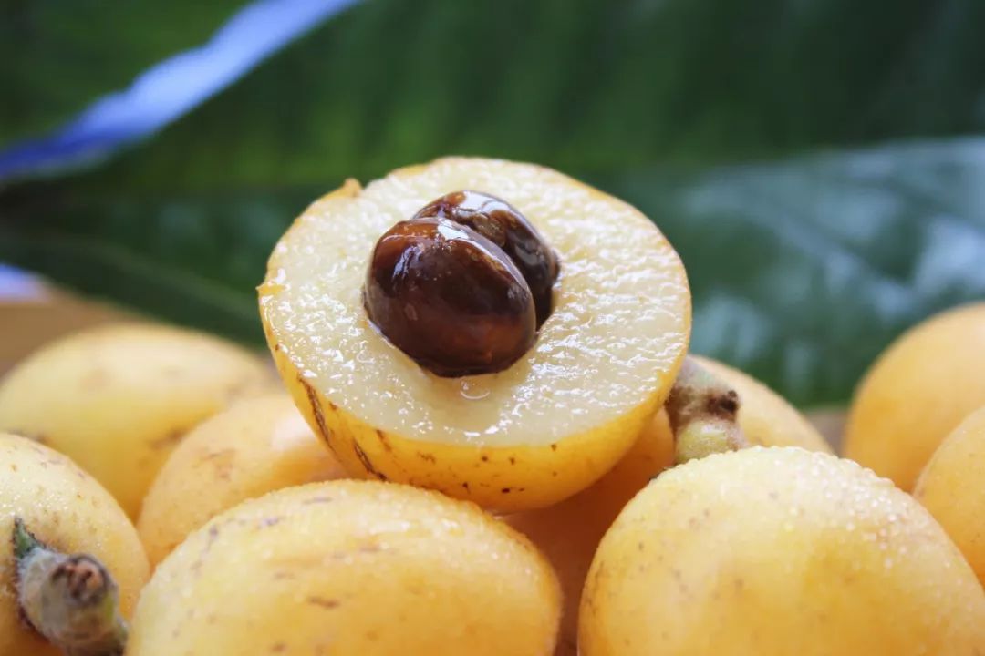 夏天的味道!房县夏日水果图鉴来啦