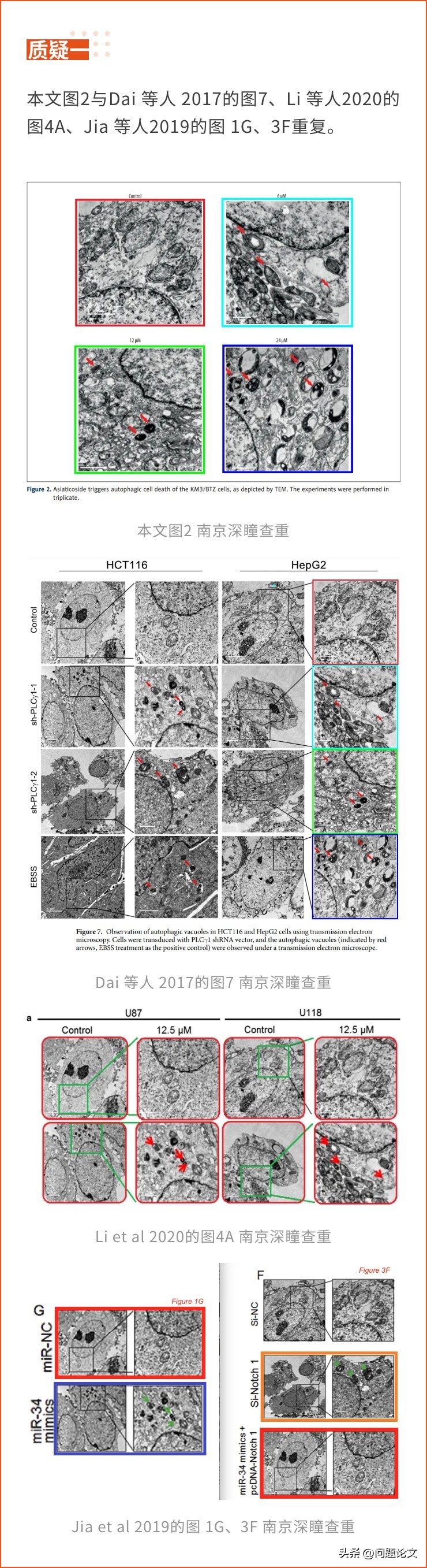 来自山东、湖北、江苏及辽宁等地医院的5篇论文竟都存在图片重复