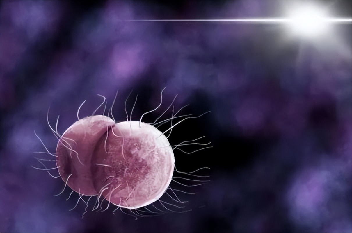 通过性传播的病有哪些不能治愈,五种性传播的病