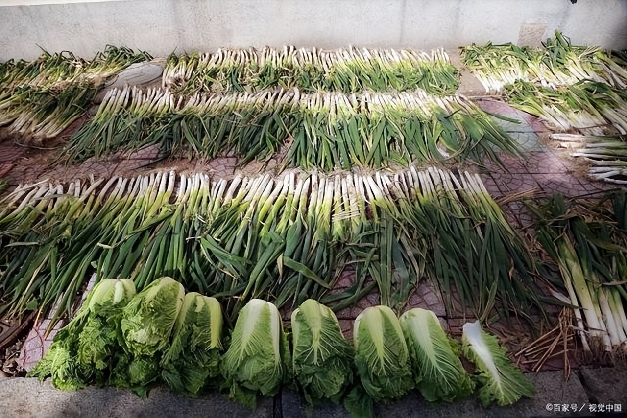 东北的大早市有多好逛,没逛过东北早市的东北人