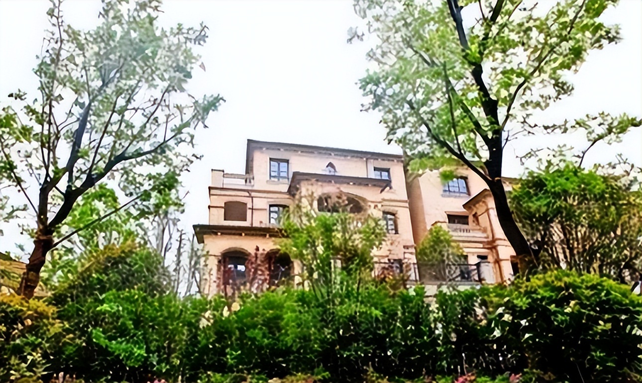 “花钱如流水”唐嫣：一个手机壳价值四万，她为何频穿假货走秀？