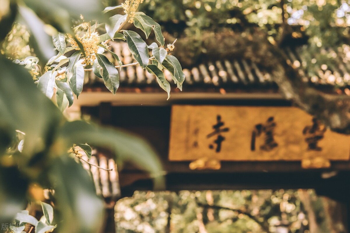 大量年轻人涌入寺庙：烧香拜佛成新型解压*法大**，一串手链卖890元