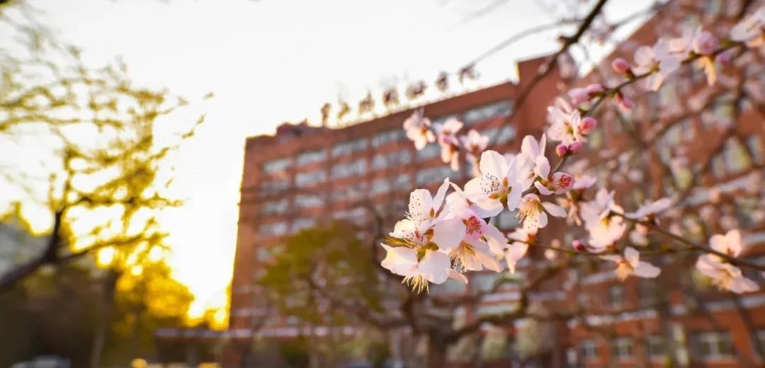 5大“难以拒绝”的理由！告诉你为什么要来北京第二外国语学院！