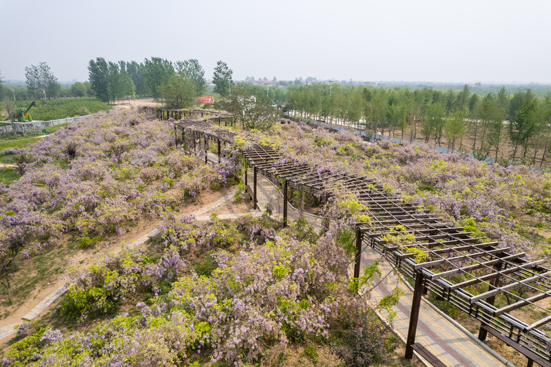 宿州两日游,宿州旅游攻略三日游