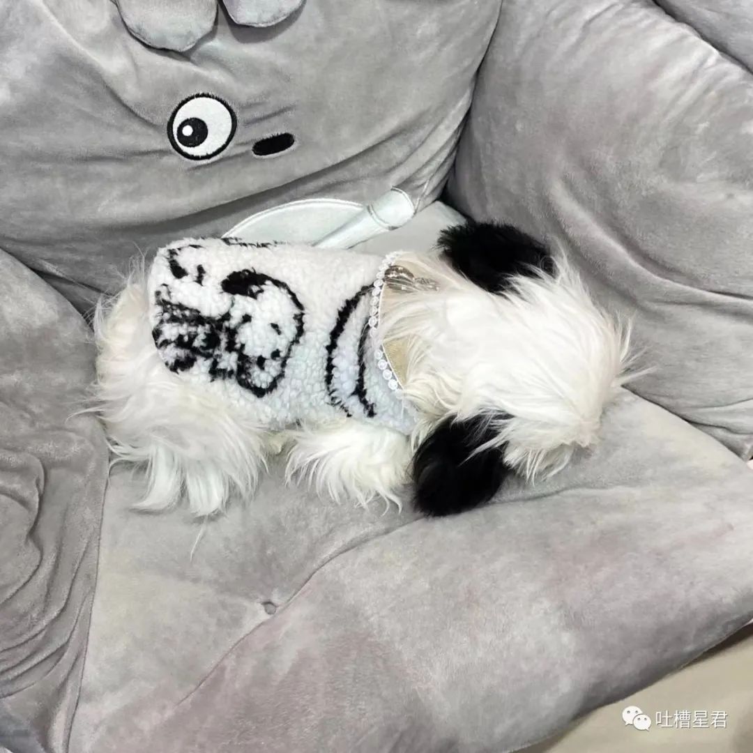 大s刚结婚时候的访谈,大s刚刚结婚的视频