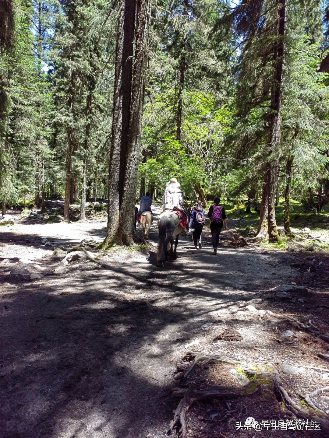 四姑娘山旅游自由行攻略,四姑娘山旅游攻略一日游