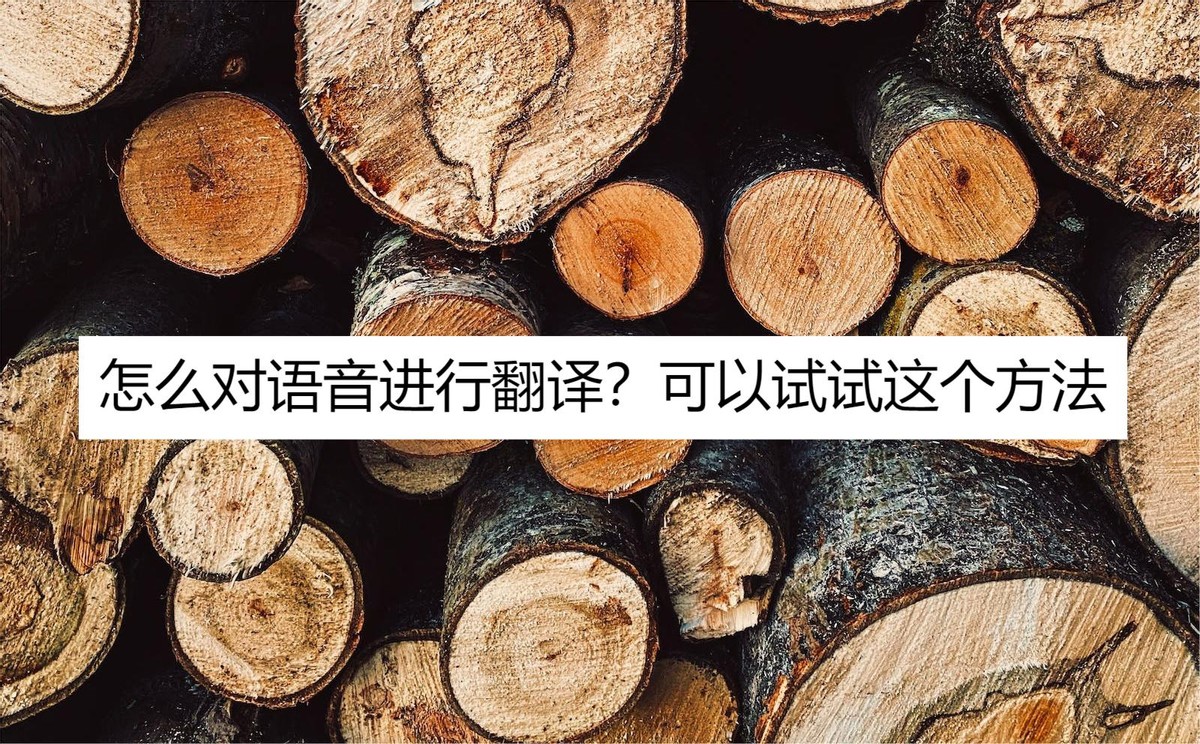 语音翻译中文怎么操作,实时语音翻译可以吗