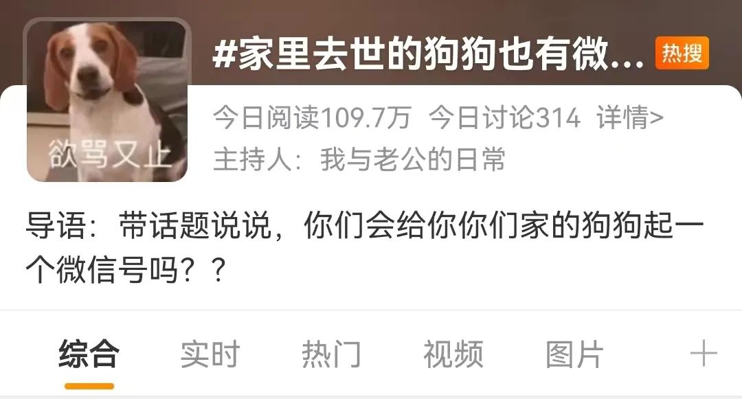 老妈给狗申请微信号,拉进家族群,每天更新朋友圈…可看完我却哭了