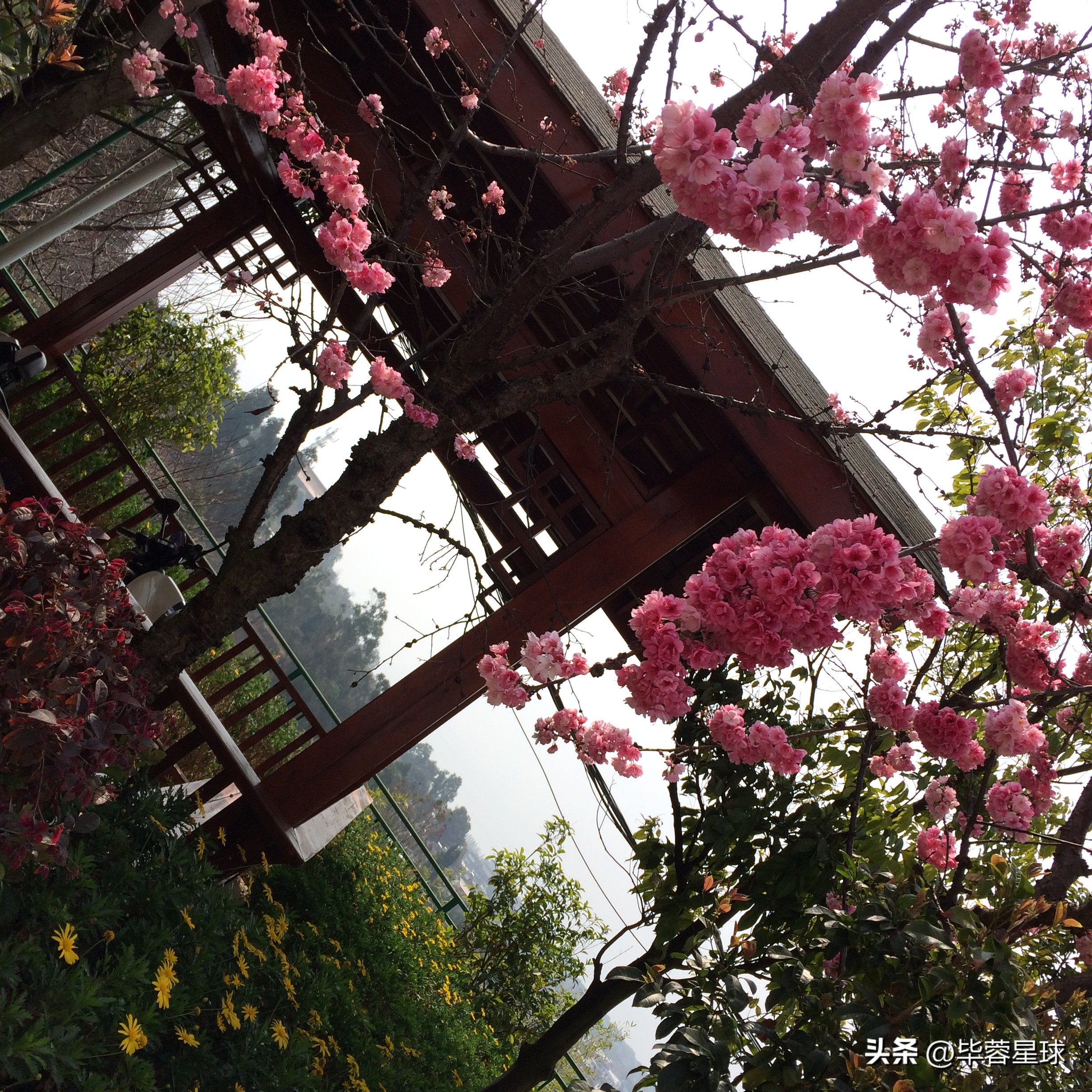 观音山公墓，为外婆下葬的一天，是提醒，是童年青春时代的告别