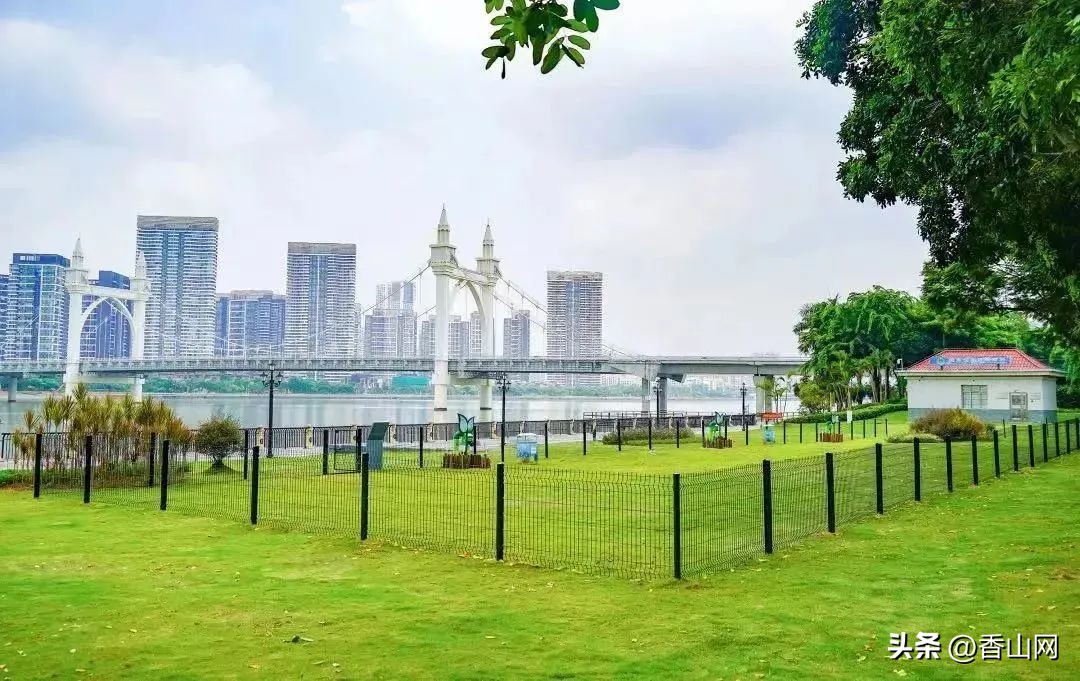 珠海遛狗有市场吗,珠海有哪些地方可以遛狗啊