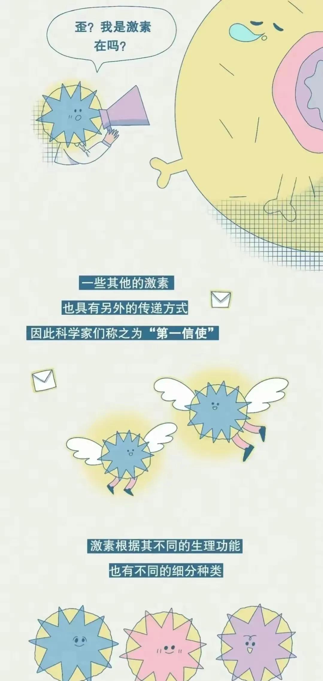 女生荷尔蒙过高会分泌什么,女生荷尔蒙分泌是什么