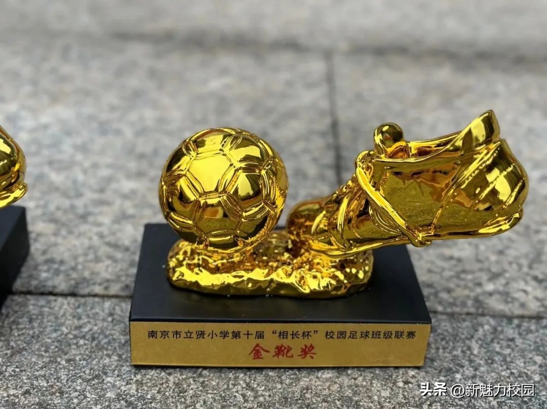 南京市晓庄小学校园足球联赛,区长杯小学校园足球联赛