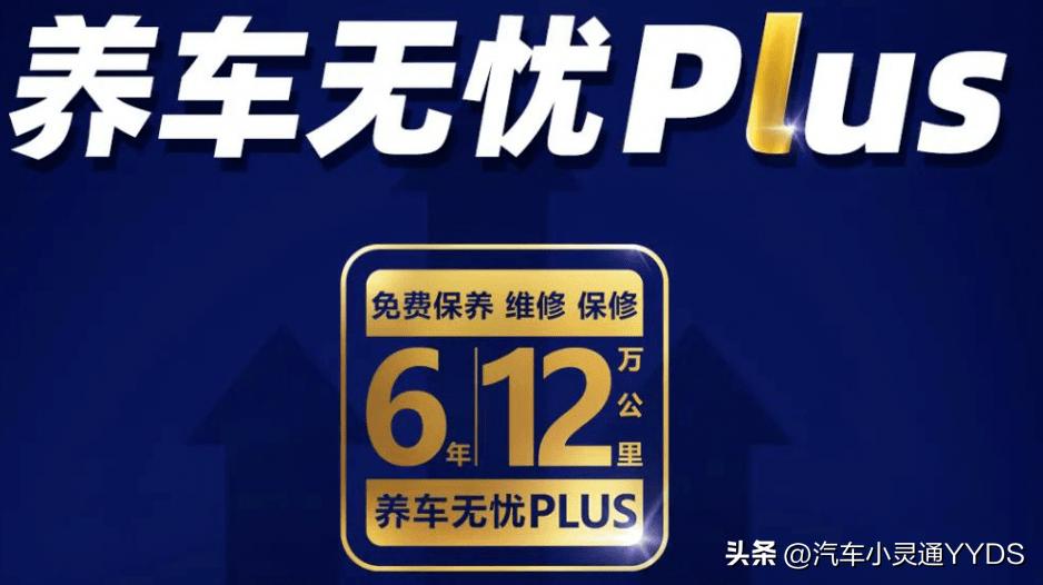 庞大集团若退市对卖车有影响吗,庞大集团现在有多少家店