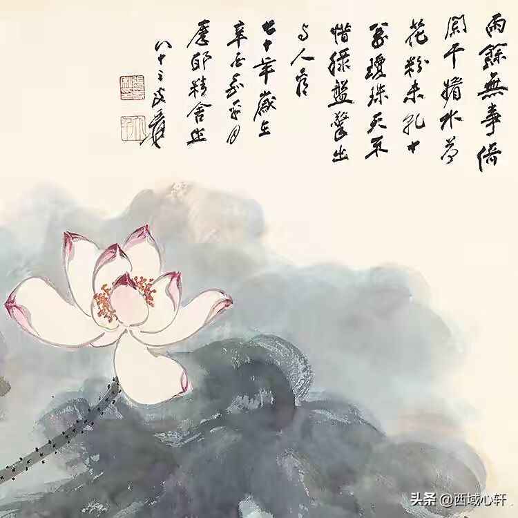 接天莲叶无穷碧映日荷花图片大全,莲叶无穷碧映日荷花别样红三幅图