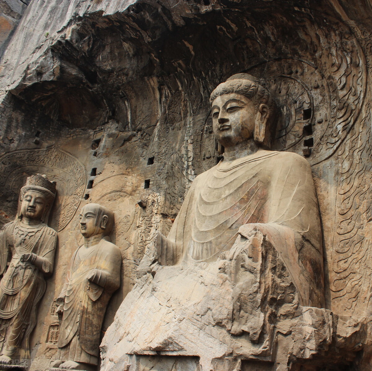 娲涢槼鏂囨梾寮哄娍澶嶈嫃,娲涢槼鏂囨梾鍙戝姏