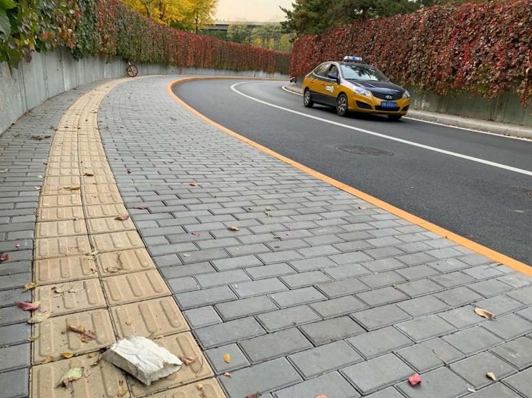 在无情的世界里有情的活着,在无情的世界里有份牵挂