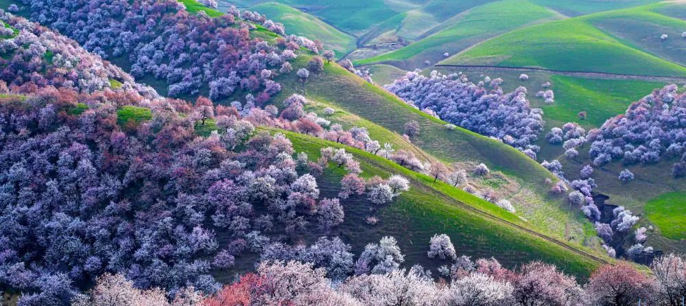 中国摄影协新项目,中国摄协最新公示