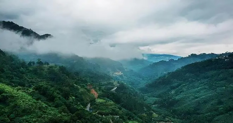 95年吉林农妇好心救毒蛇,吉林农妇好心收养毒蛇