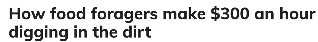 华人美国挖野菜，吃罚单？在纽约是这样挖蕨菜、韭菜、荠菜的