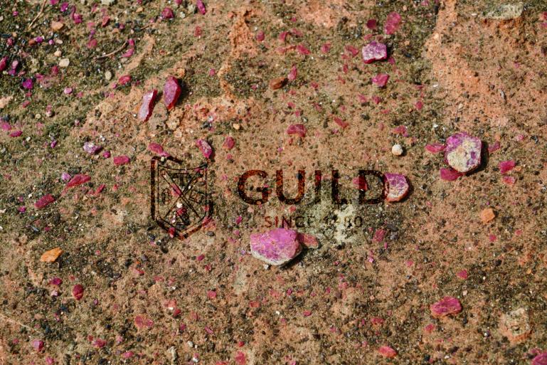 最新拍卖结果出炉，GUILD带你直击Gemfields曼谷原石拍卖会