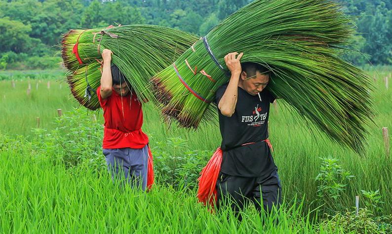 炎炎夏日,你享受的是空调,皇帝享受的是“关席”|方志江苏