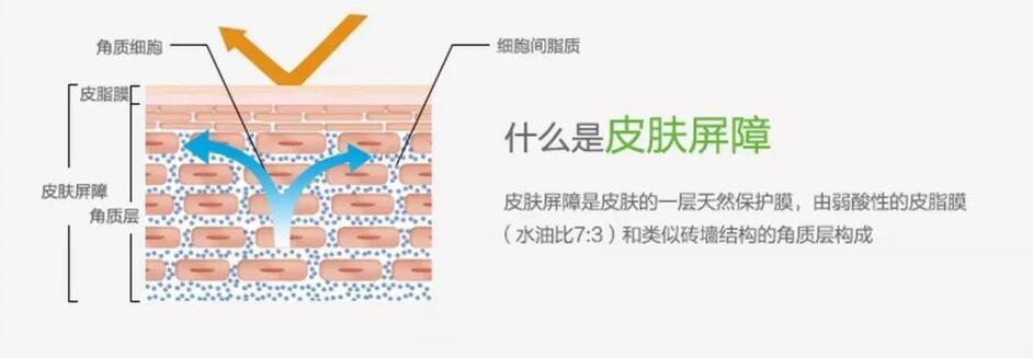 <html>
<head><title>502BadGateway</title></head>
<body>
<center><h1>502BadGateway</h1></center>
<hr><center>nginx</center>
</body>
</html>
<!--apaddingtodisableMSIEandChromefriendlyerrorpage-->
<!--apaddingtodisableMSIEandChromefriendlyerrorpage-->
<!--apaddingtodisableMSIEandChromefriendlyerrorpage-->
<!--apaddingtodisableMSIEandChromefriendlyerrorpage-->
<!--apaddingtodisableMSIEandChromefriendlyerrorpage-->
<!--apaddingtodisableMSIEandChromefriendlyerrorpage-->
