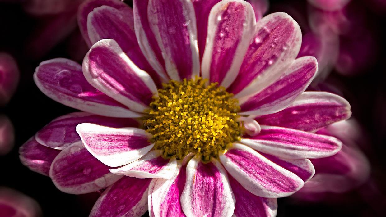 男人这样和你微信聊天说明想你了,怎么和男人聊天让男人喜欢你