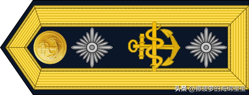 二战德国国防军医疗兵军衔标志